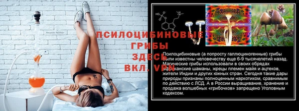 хмурый Алексин