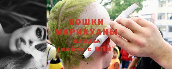 шишки Алексеевка